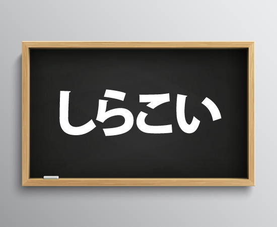 しらこいは方言？関西弁のおとんが意味や使い方もサクッと解説するよ。